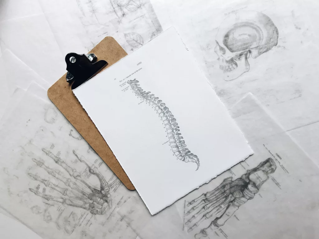 Osteoporose im Alter — aktiv bleiben