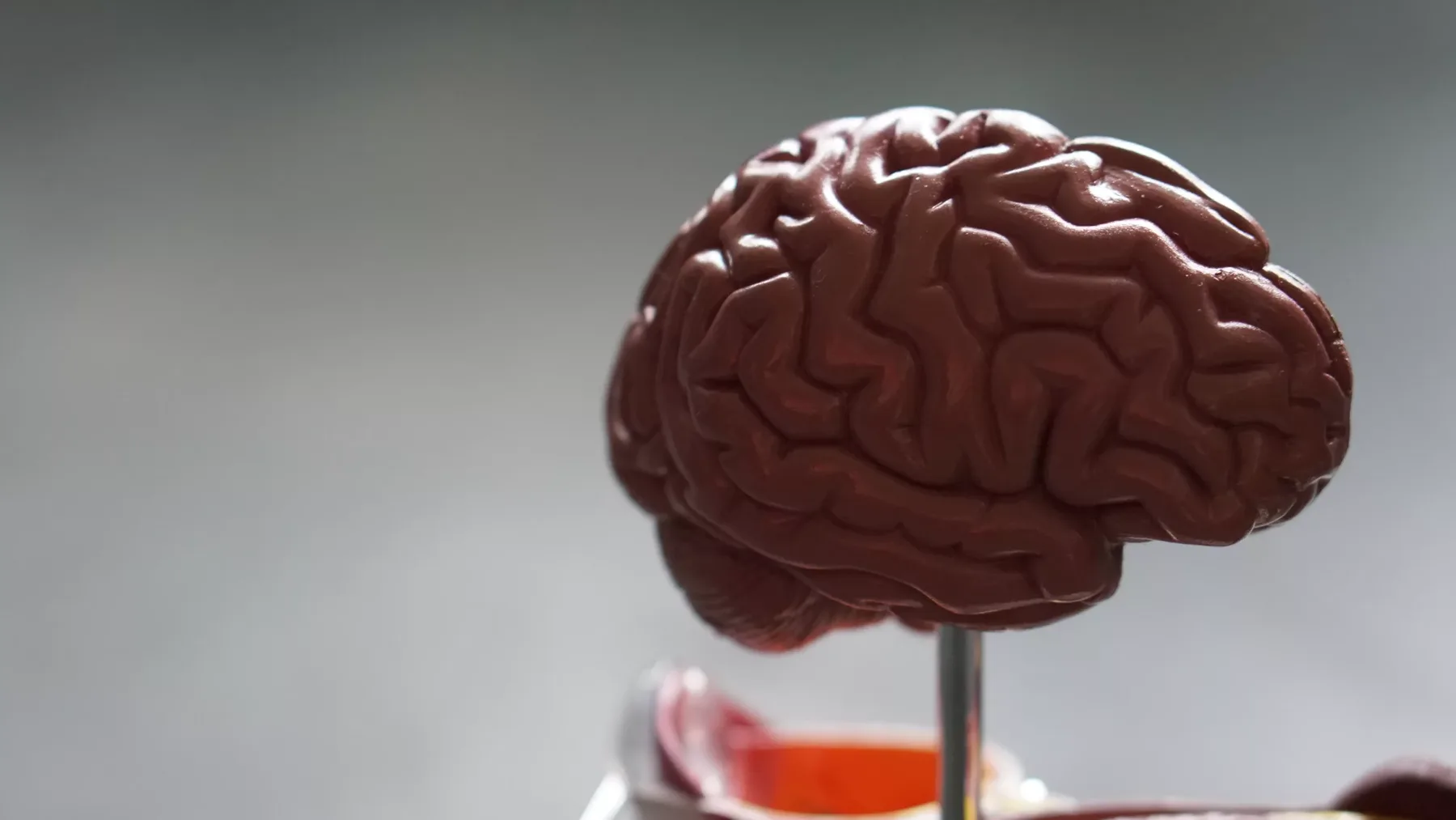 Alzheimer verstehen: Symptome, Diagnose und Hilfe für Betroffene und Angehörige